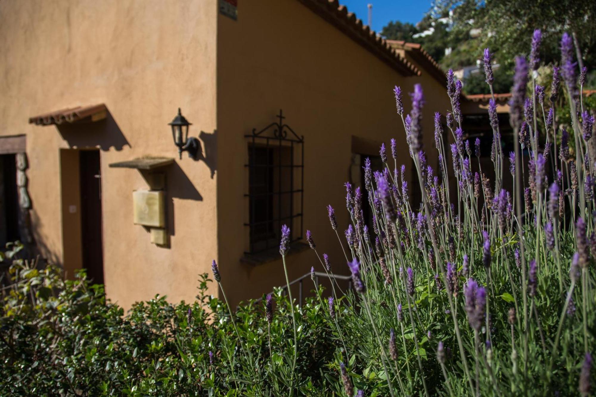 Corti Mori Sa Riera Vistas Mediterraneas Begur Exterior foto